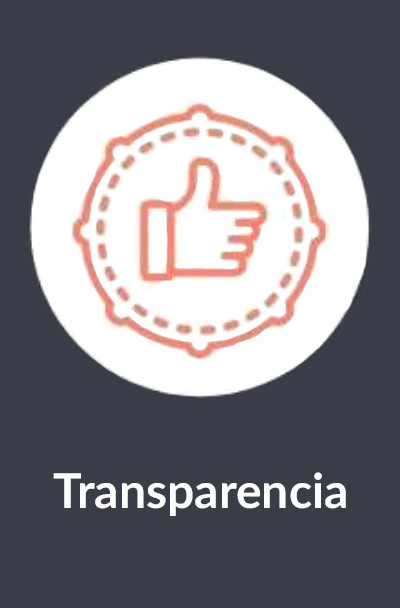 Pavipor transparencia